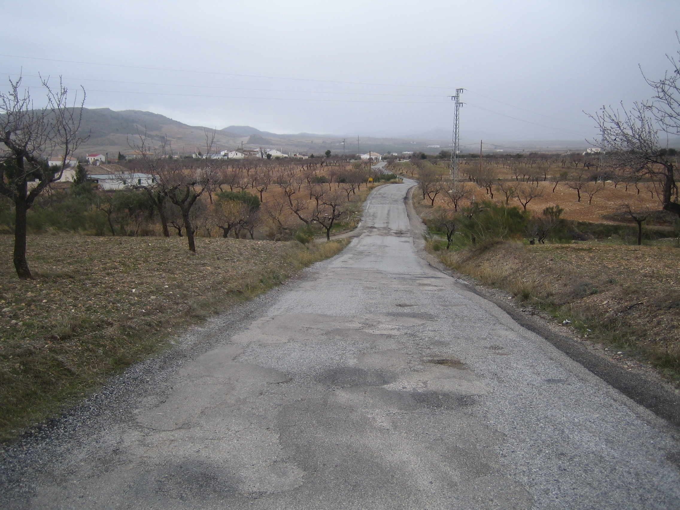 Camino rural de Oria